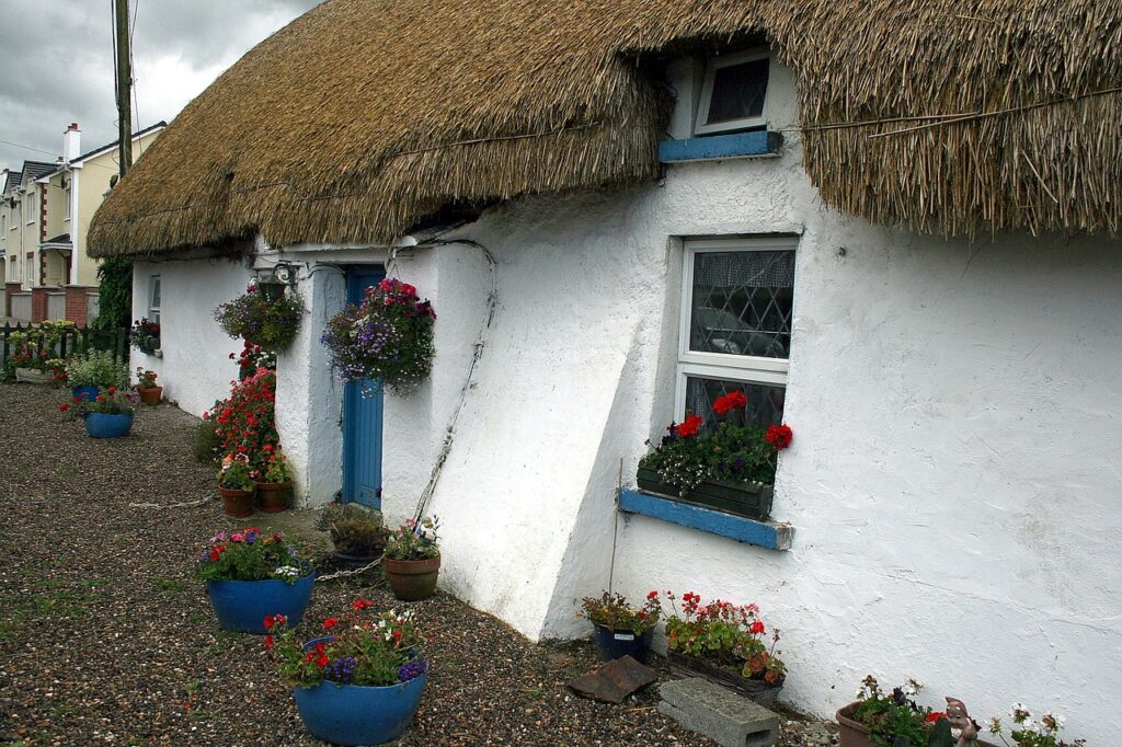 Thatch for vernacular architecture