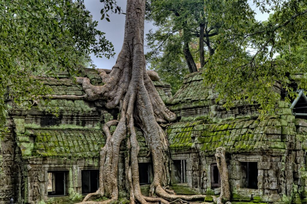 angkor wat temple stone vernacular architecture