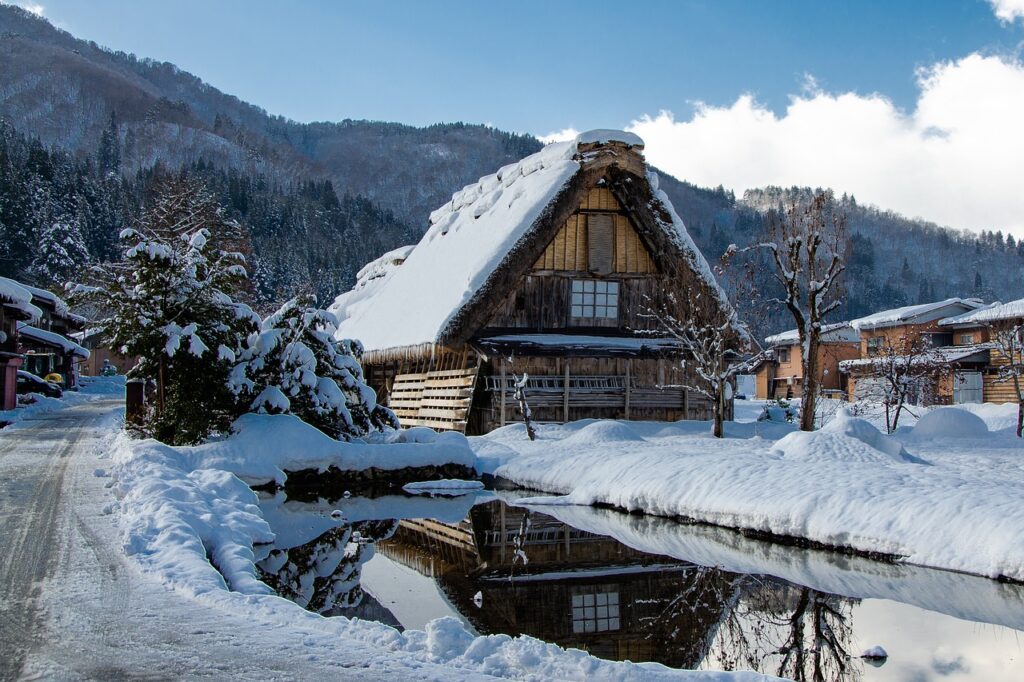 Timber vernacular architecture