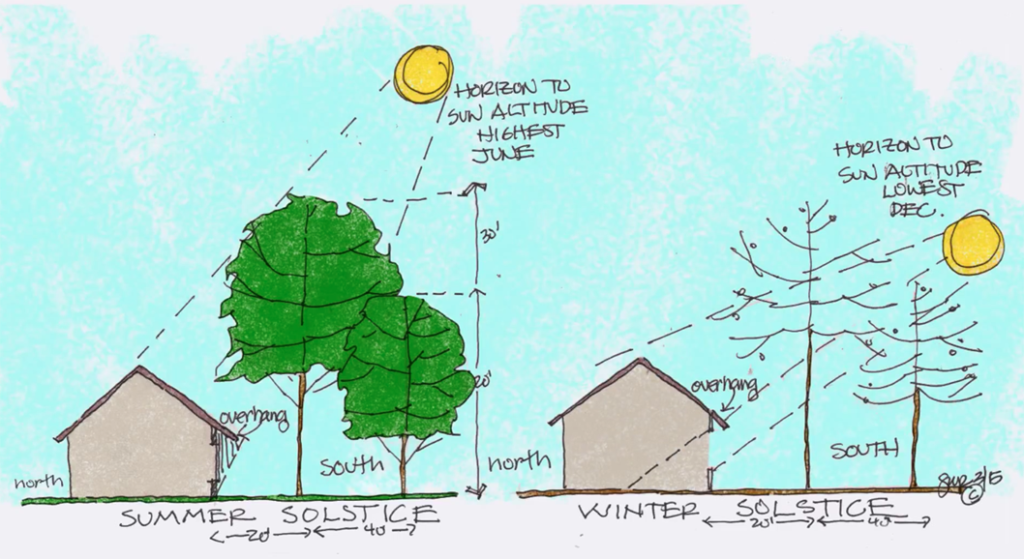 Landscaping passive design