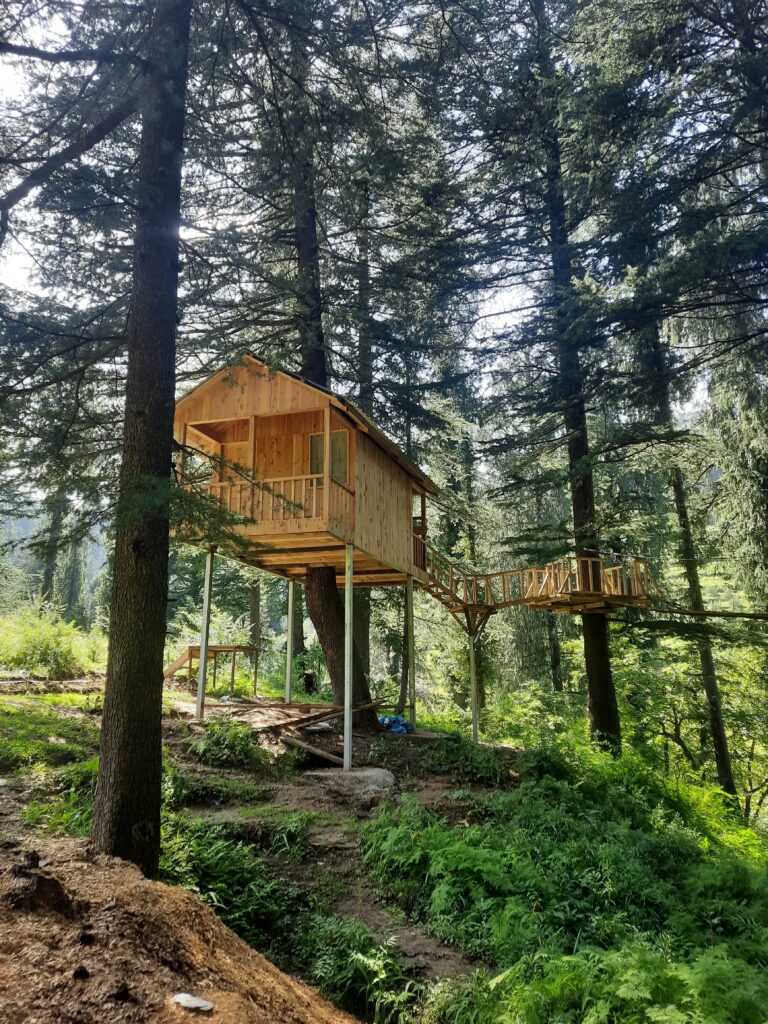 Biodiversity park in Bulah, Janjehli Seraj