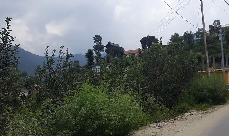 Pangna Fort/Mahamaya temple, Mandi