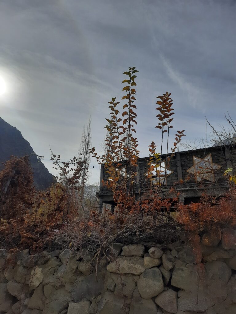 Tourism in Turtuk village- Nubra valley