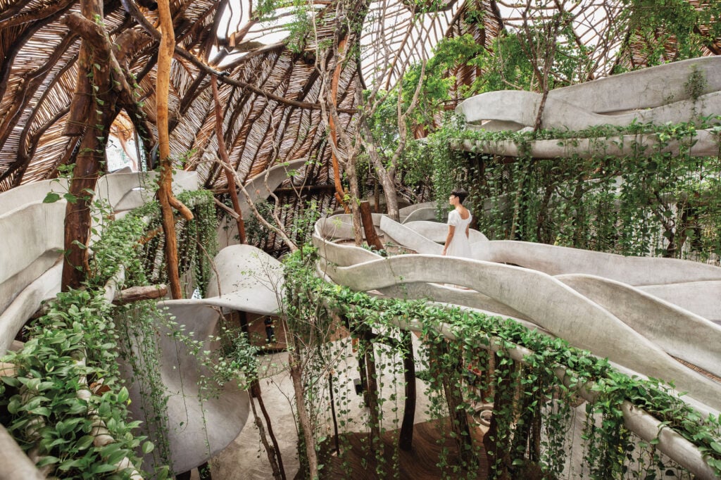 Biophilic Design