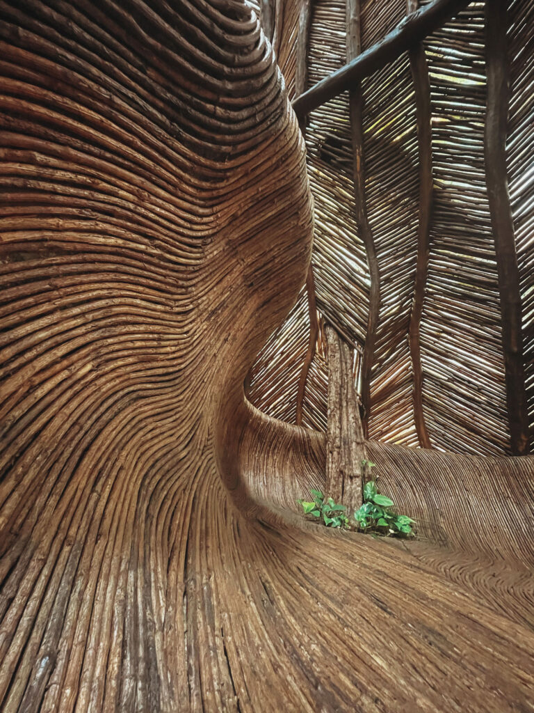 Nature based color and textures of Biophilic Design