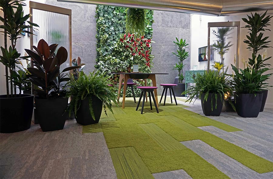 indoor and living plants in biophilic design