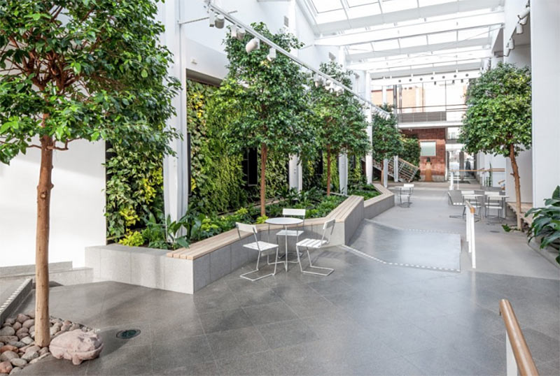 indoor and living plants in biophilic design